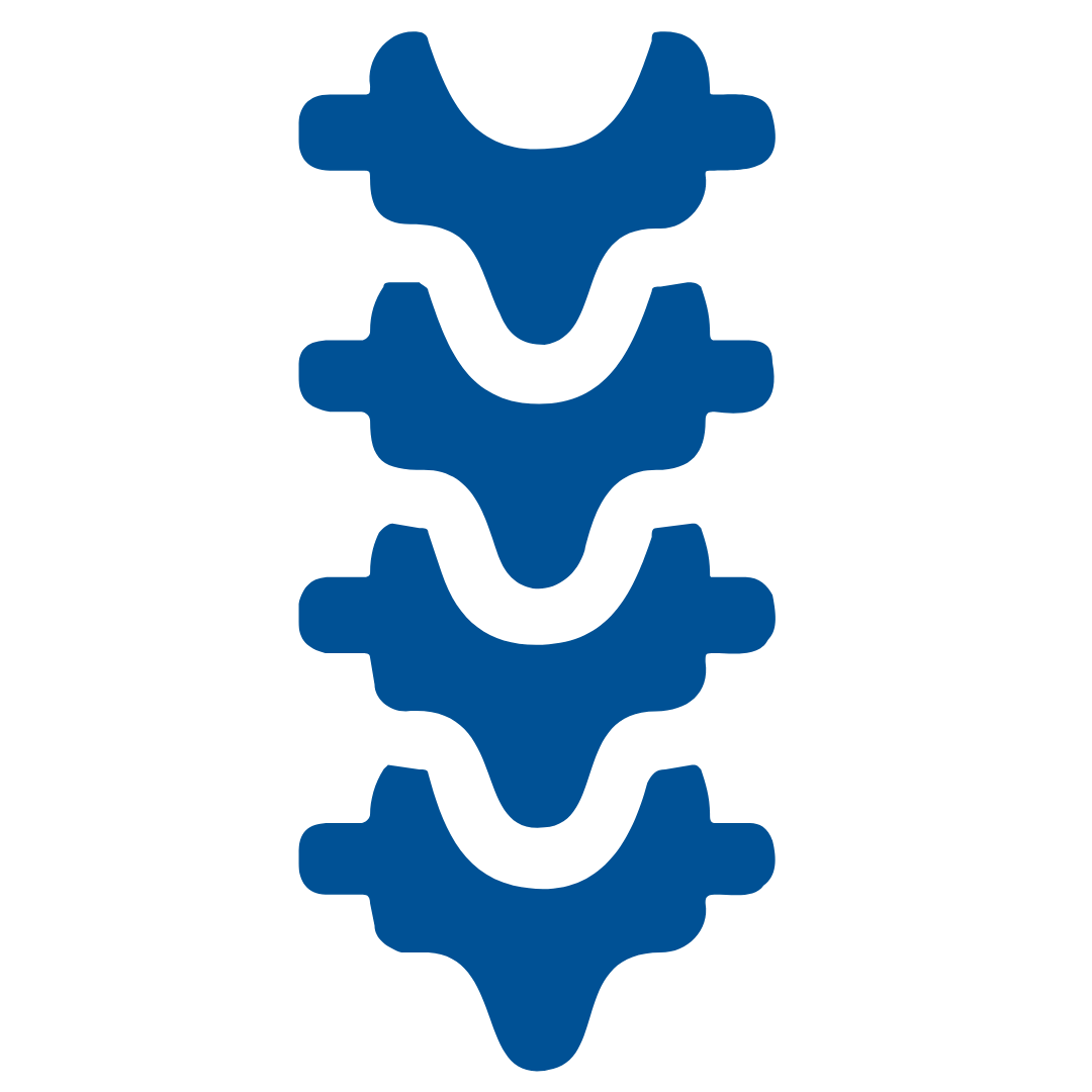 Excelsia Sponsor Logo